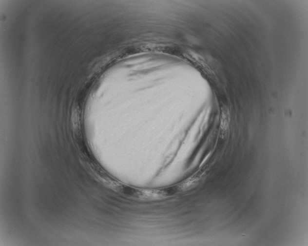 X0000081610623200702121616