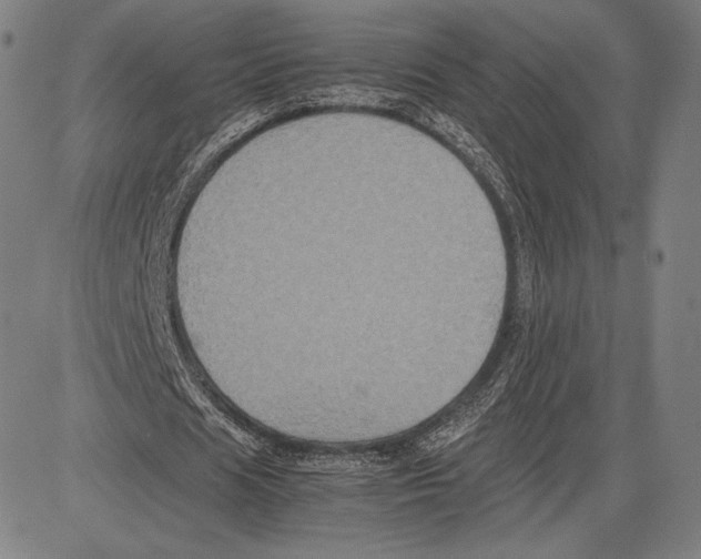 X0000081610625200702121615