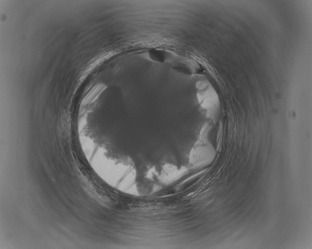 X0000081610626200702121615