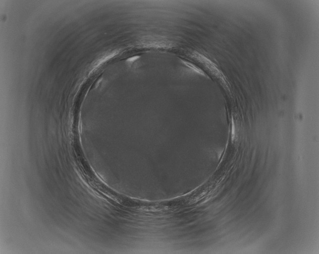 X0000081610627200702121615