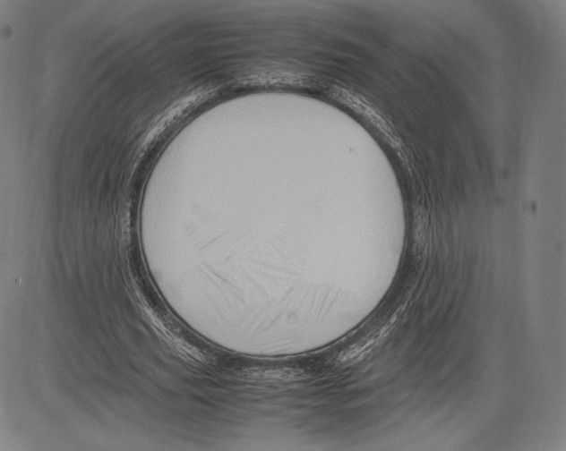 X0000081610629200702121615