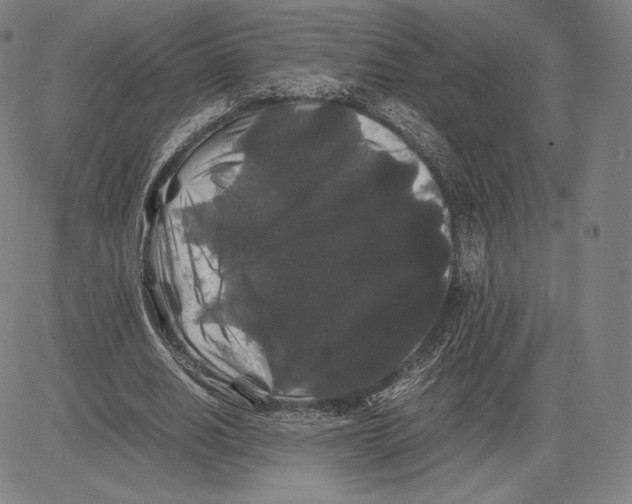 X0000081610630200702121615