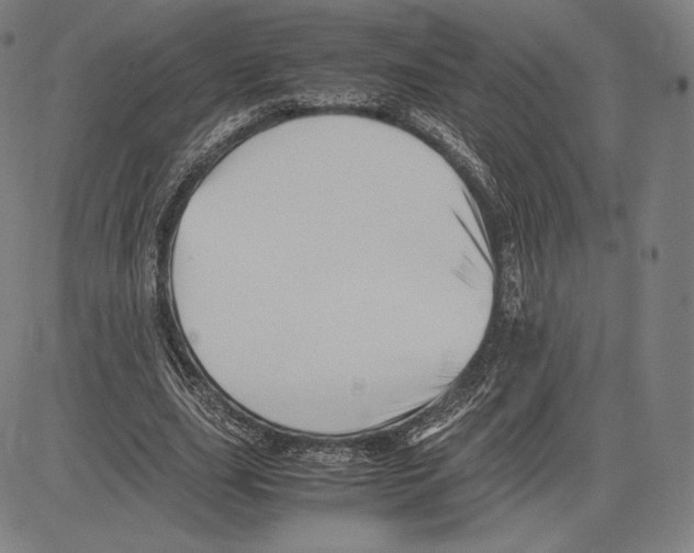 X0000081610631200702121615