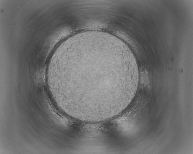 X0000081610632200702121615