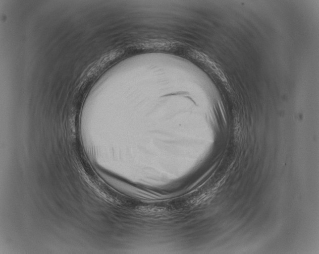 X0000081610633200702121615