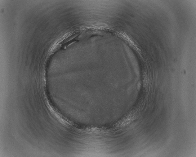 X0000081610634200702121615