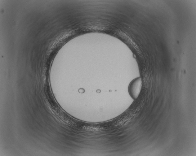 X0000081610635200702121615