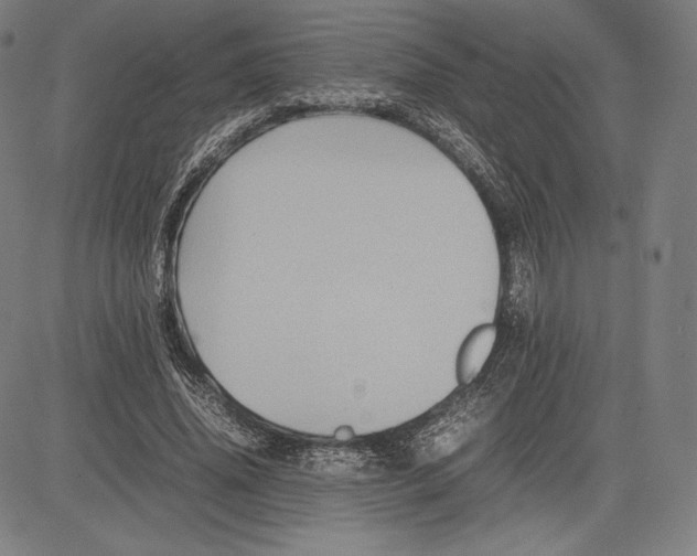 X0000081610636200702121615