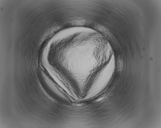 X0000081610638200702121615