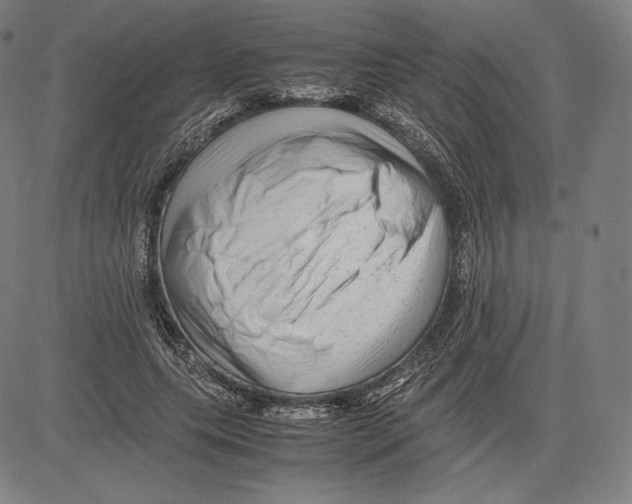 X0000081610639200702121616