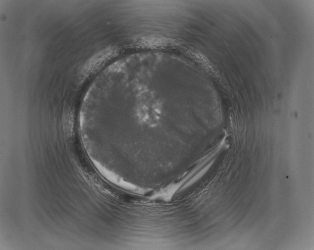 X0000081610640200702121616