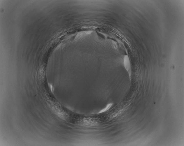 X0000081610641200702121616