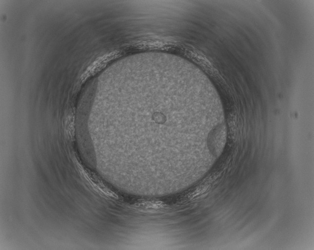 X0000081610642200702121616