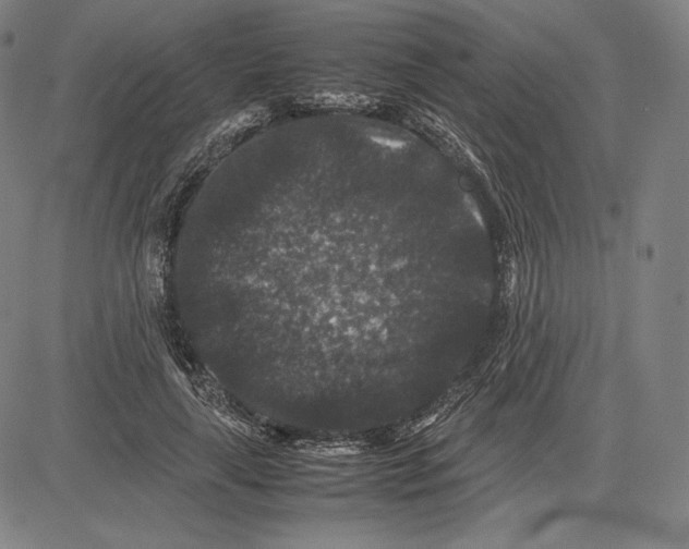 X0000081610643200702121616