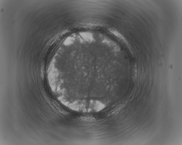 X0000081610644200702121616