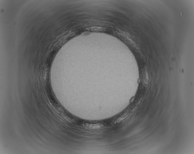 X0000081610645200702121616