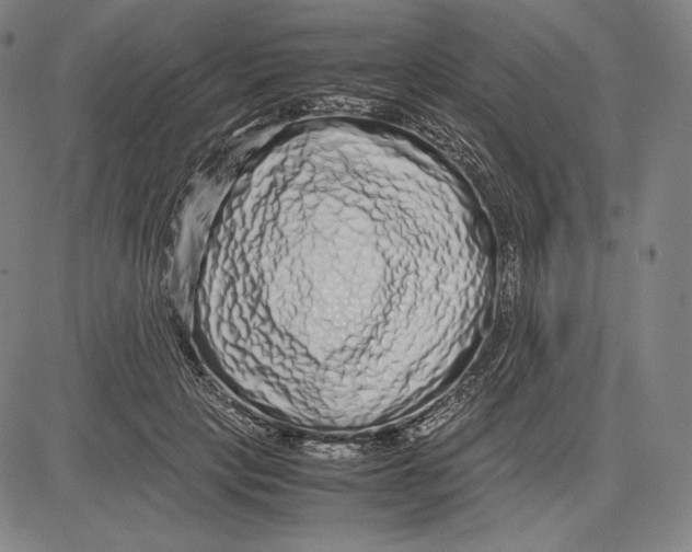 X0000081610649200702121616