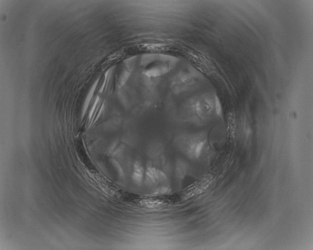 X0000081610650200702121616