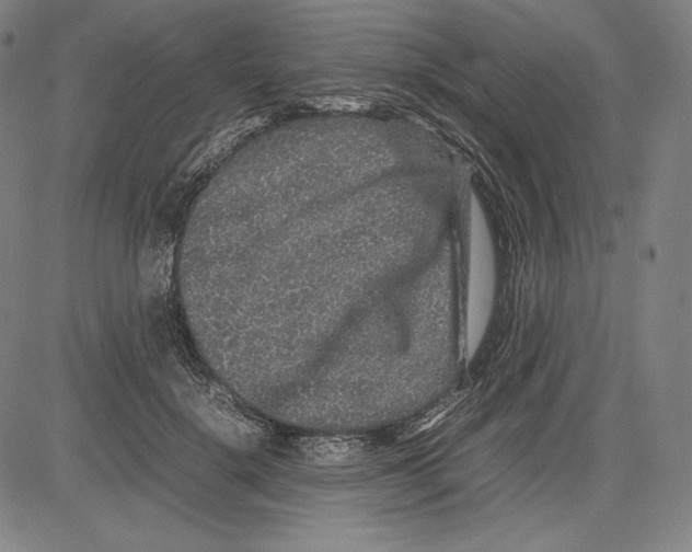 X0000081610652200702121616