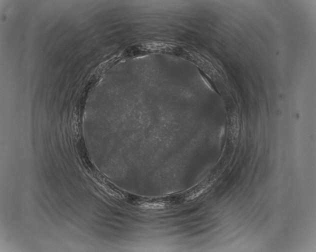 X0000081610653200702121616