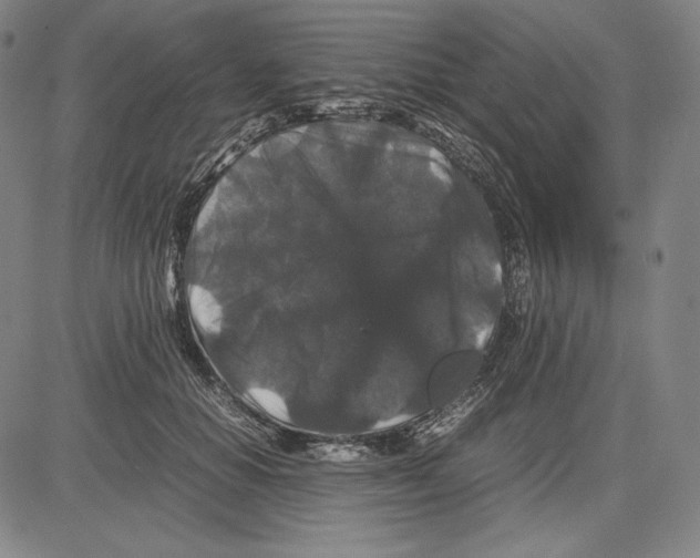 X0000081610654200702121616