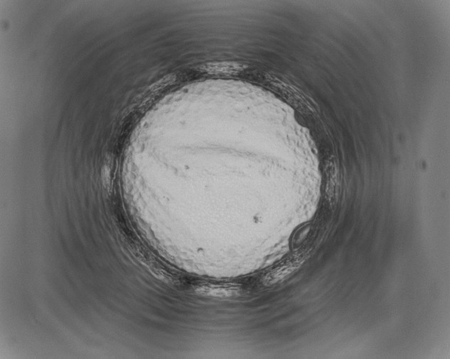 X0000081610655200702121616