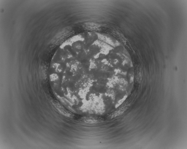 X0000081610658200702121616