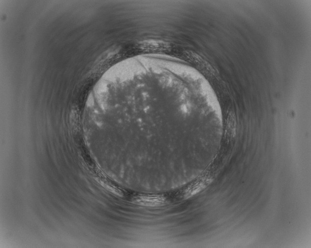 X0000081610659200702121616