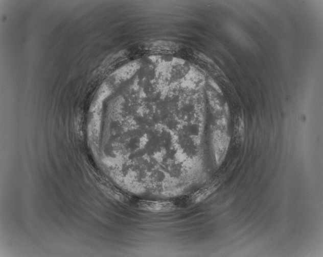 X0000081610663200702121616