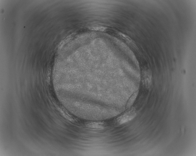 X0000081610664200702121616