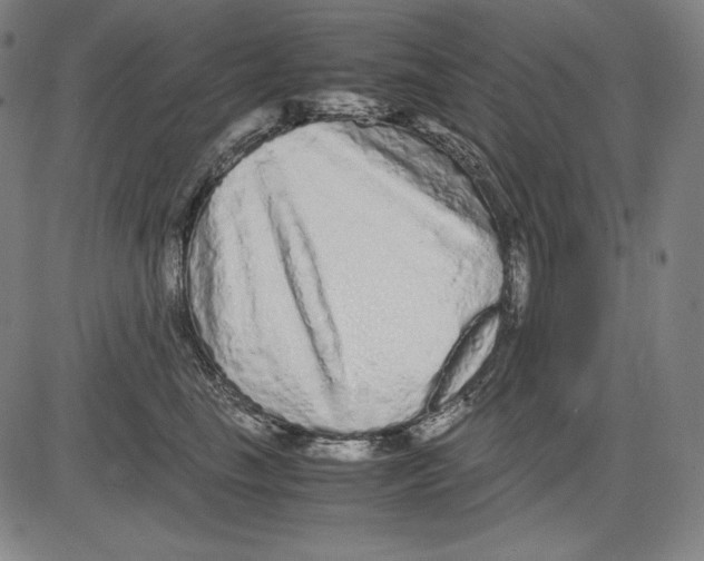 X0000081610665200702121616