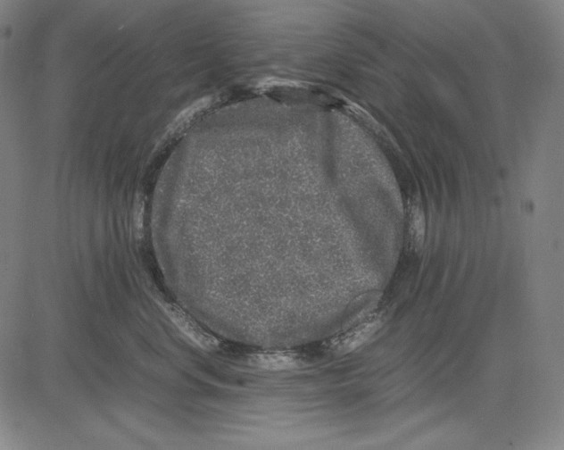 X0000081610668200702121616