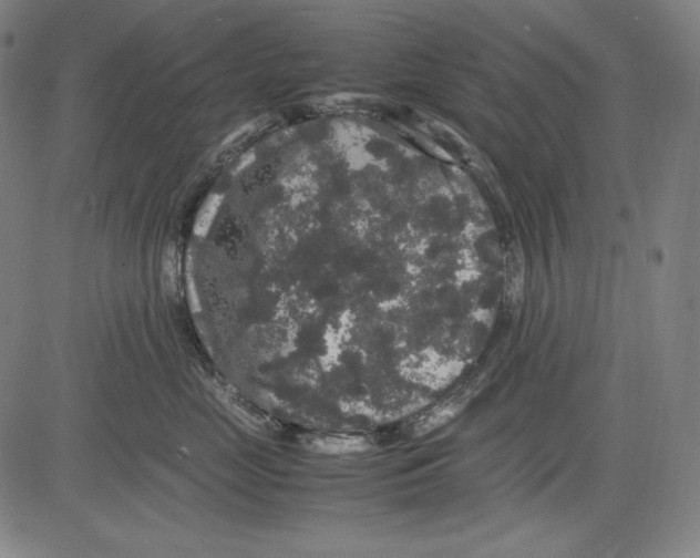 X0000081610669200702121616