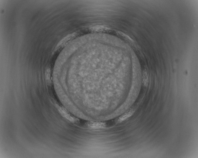 X0000081610670200702121616