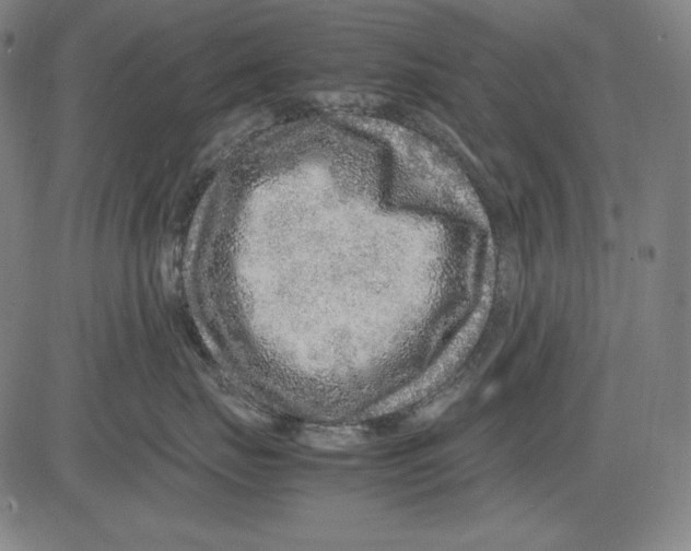 X0000081610671200702121616