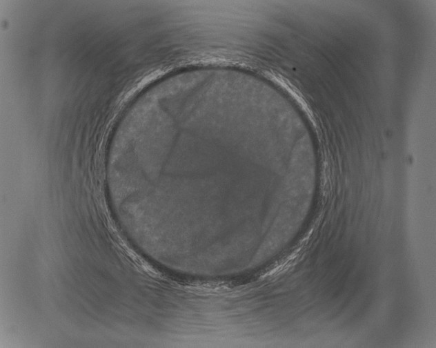 X0000081610673200702121615