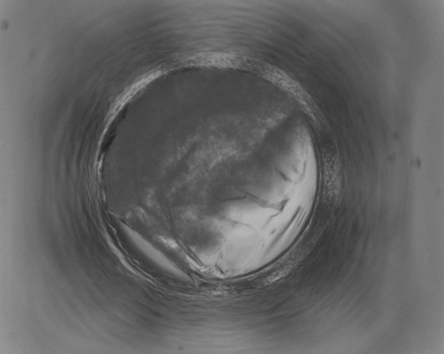 X0000081610674200702121615