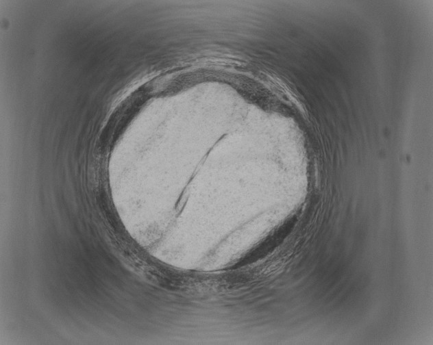 X0000081610675200702121615