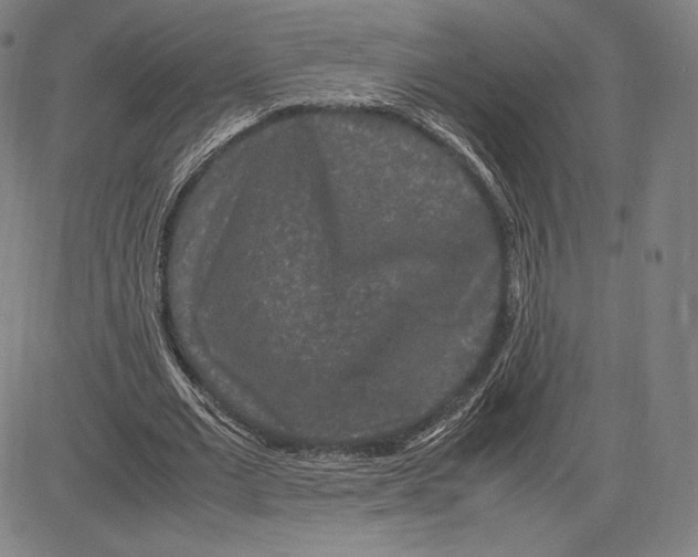 X0000081610677200702121615