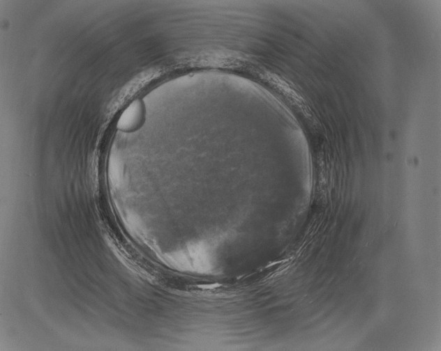 X0000081610678200702121615