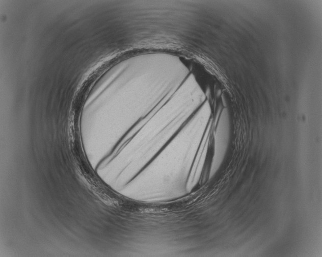 X0000081610680200702121615