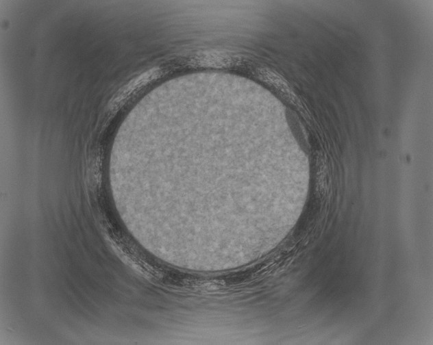 X0000081610683200702121615