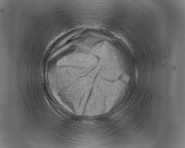 X0000081610684200702121615