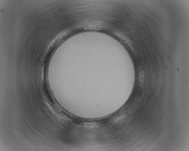 X0000081610686200702121615