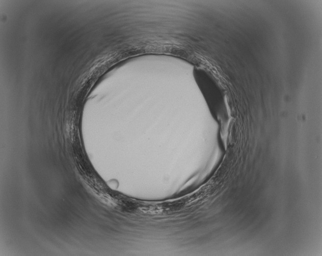 X0000081610687200702121615