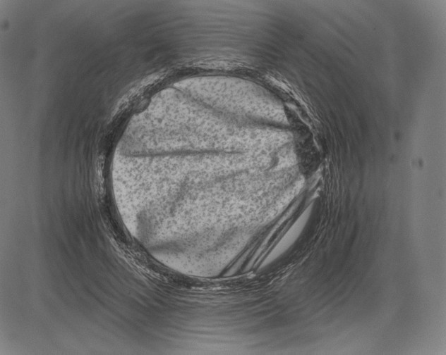 X0000081610688200702121615