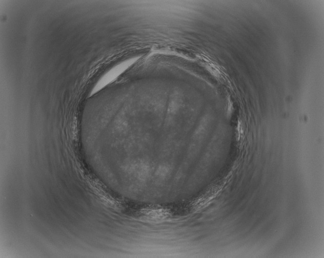 X0000081610689200702121615