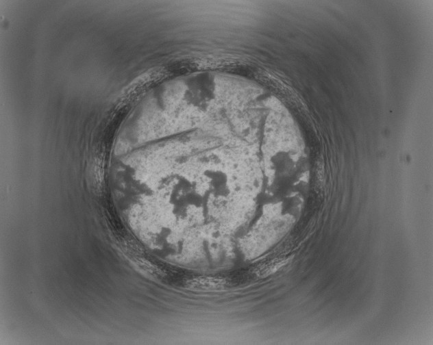 X0000081610691200702121615