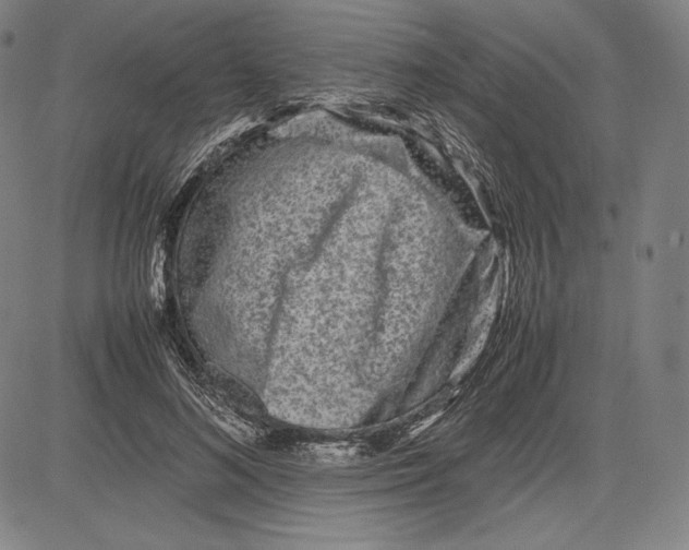 X0000081610692200702121615