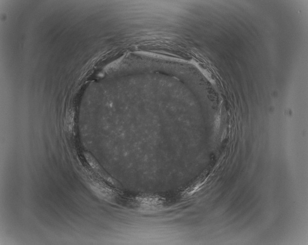 X0000081610693200702121615